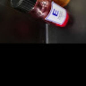 Meet your Posher, Samuel